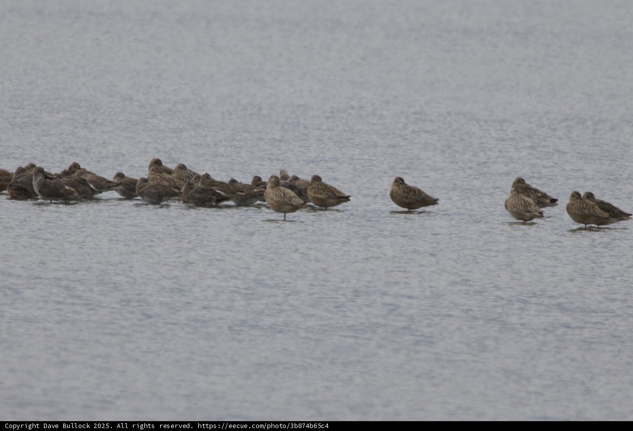 Resting on the Tides