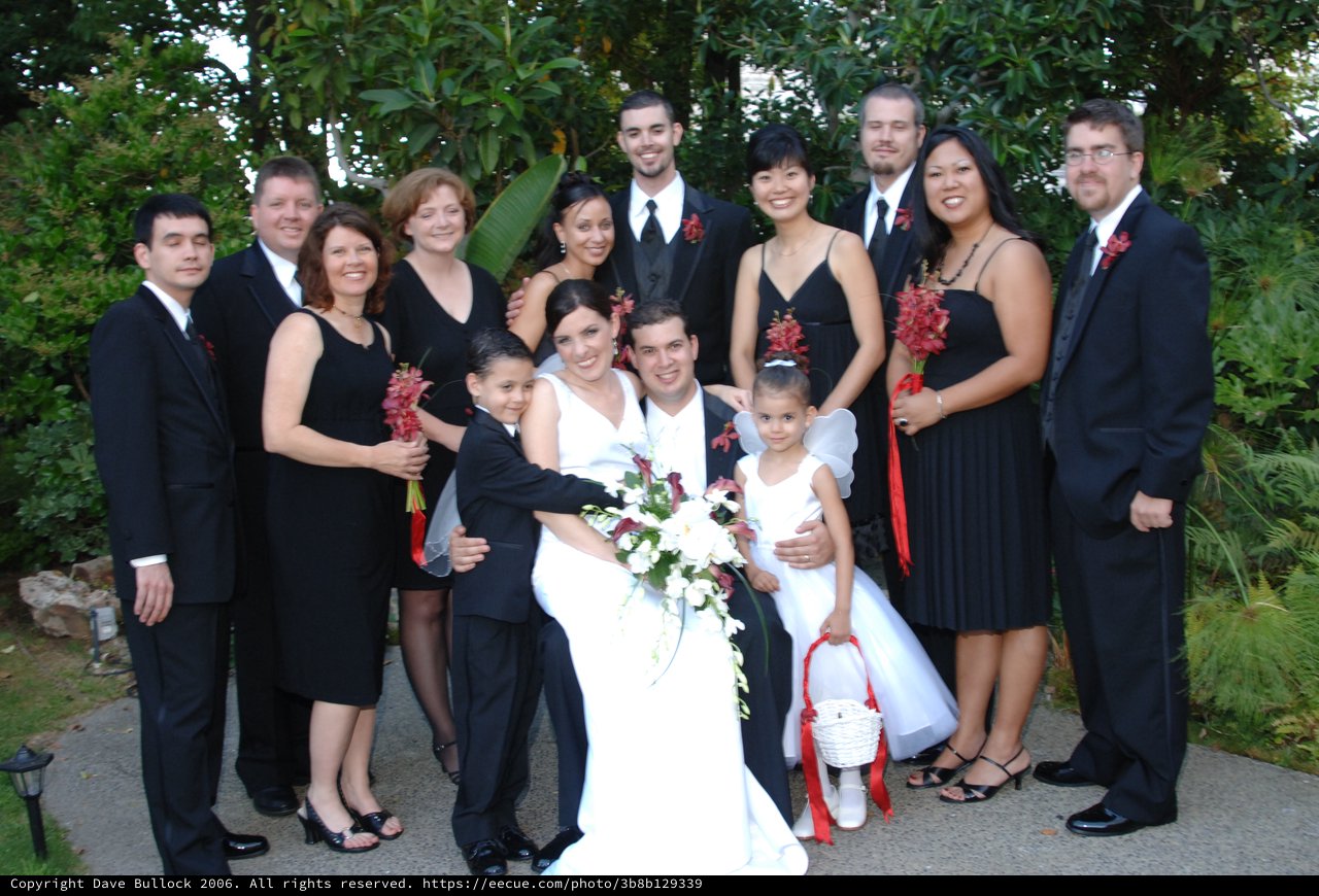 Joyful Wedding Party Celebration in Garden Setting