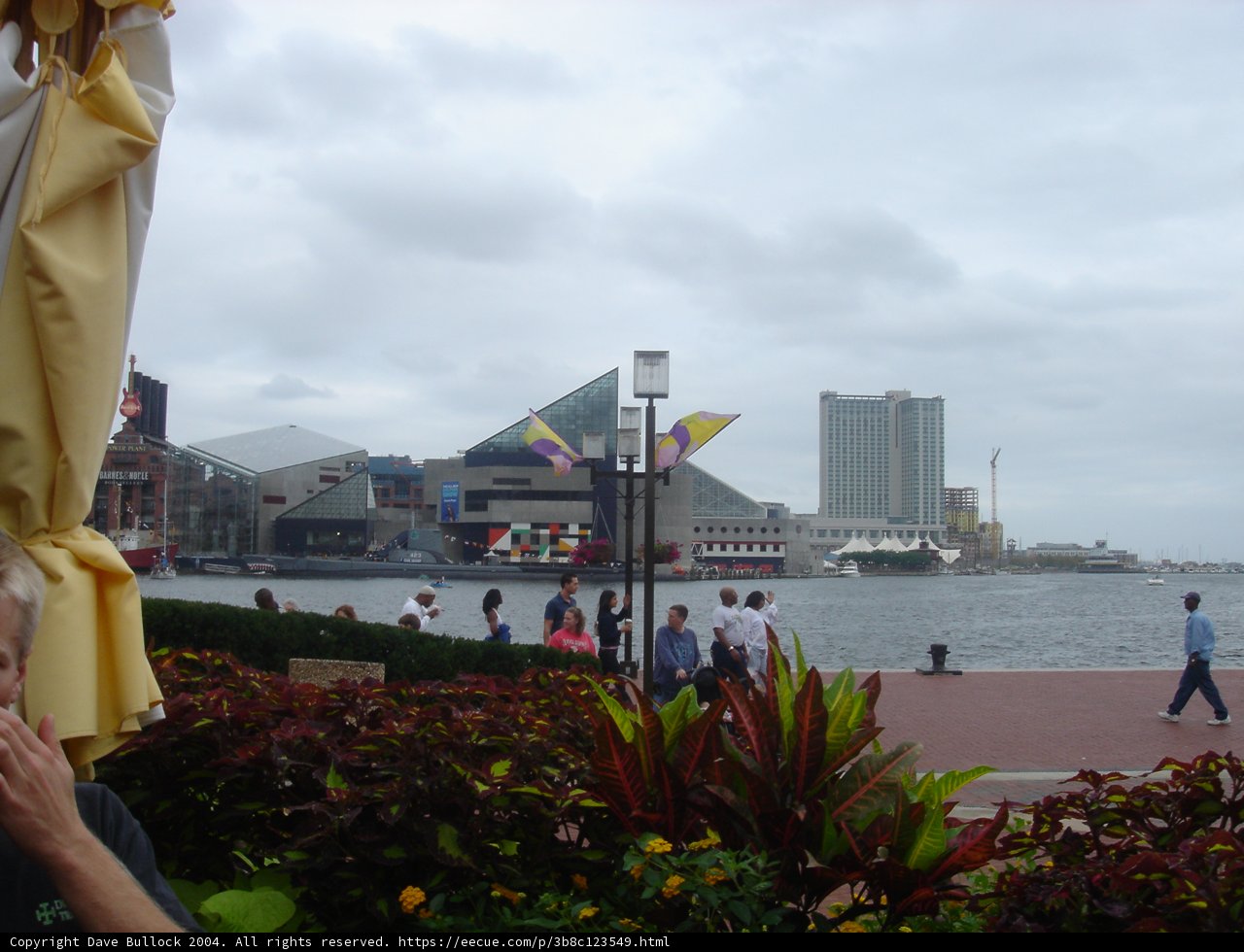 City Lakeview