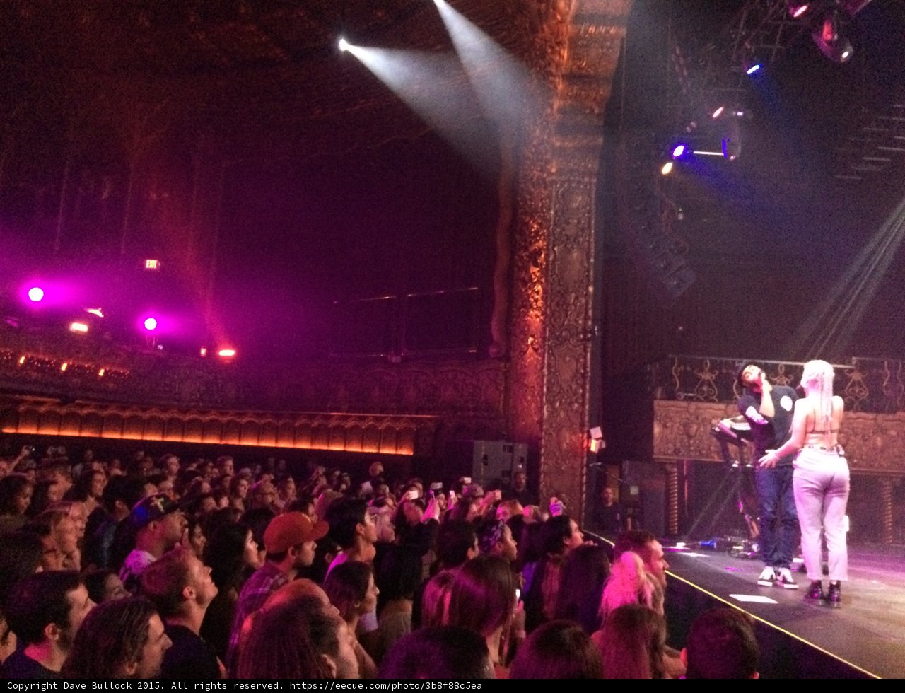 Spotlight on the Crowd