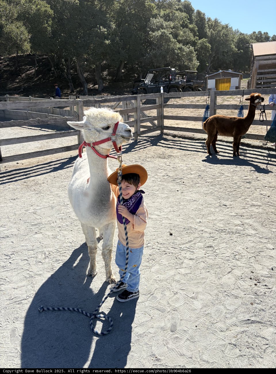 Little Cowboy's Day Out