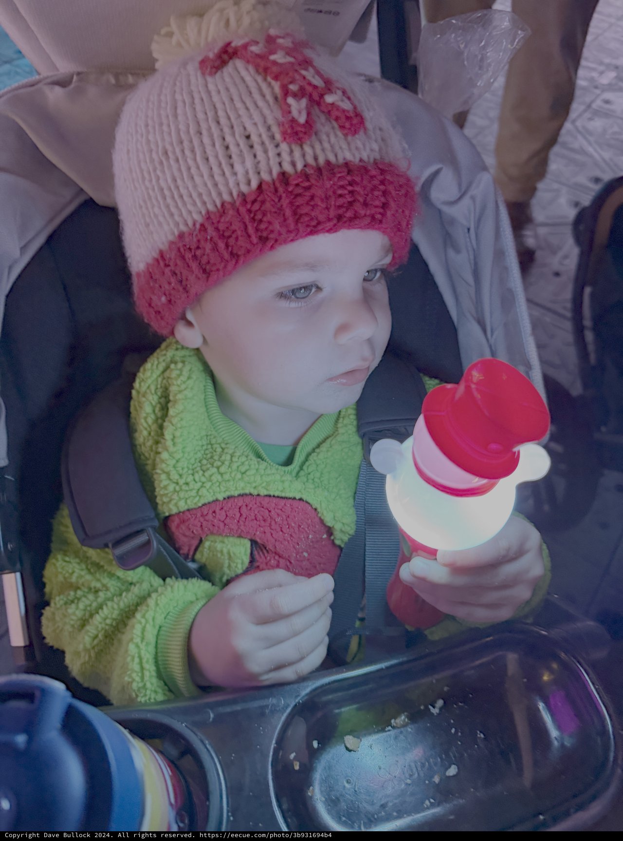 Young Child with Bottle in Stroller