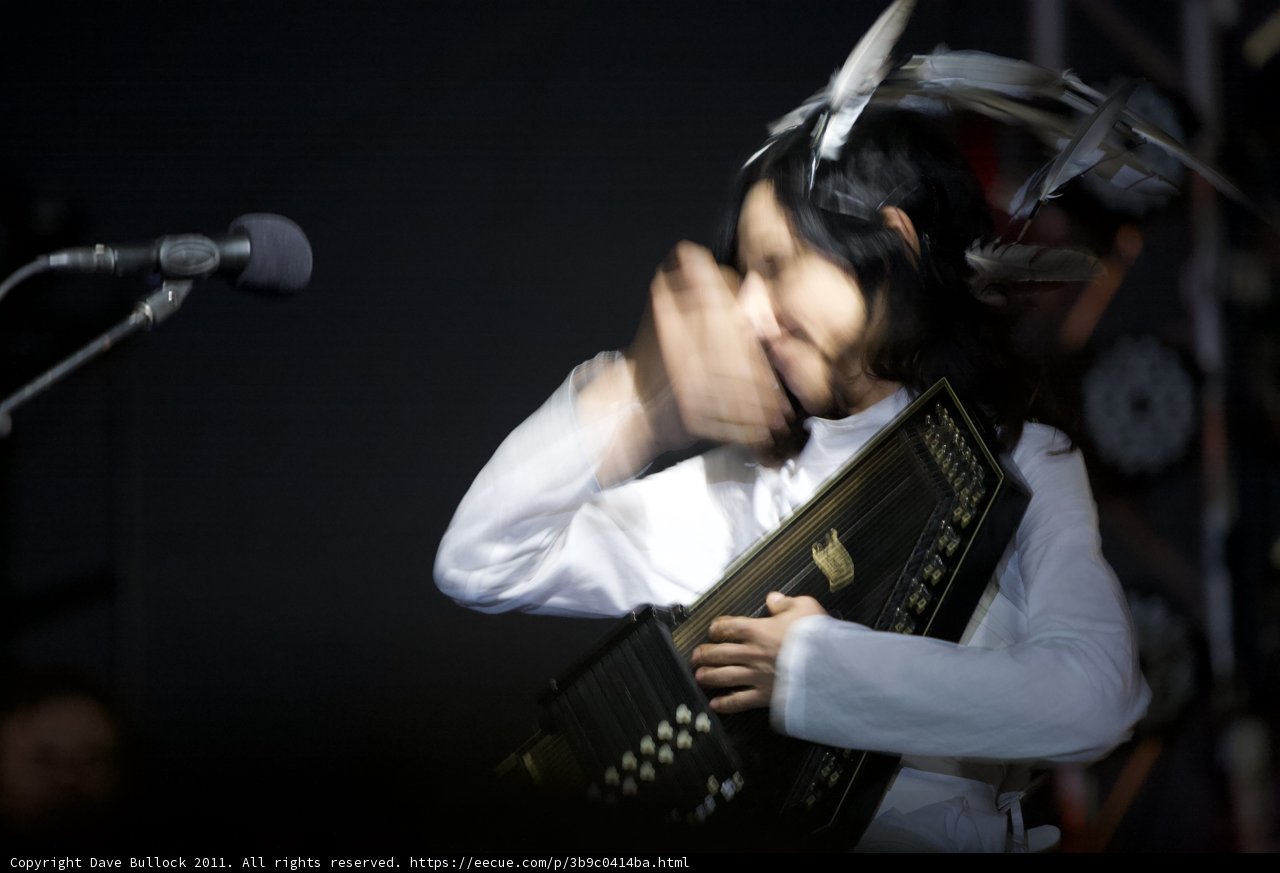 The Accordion Queen Takes the Stage