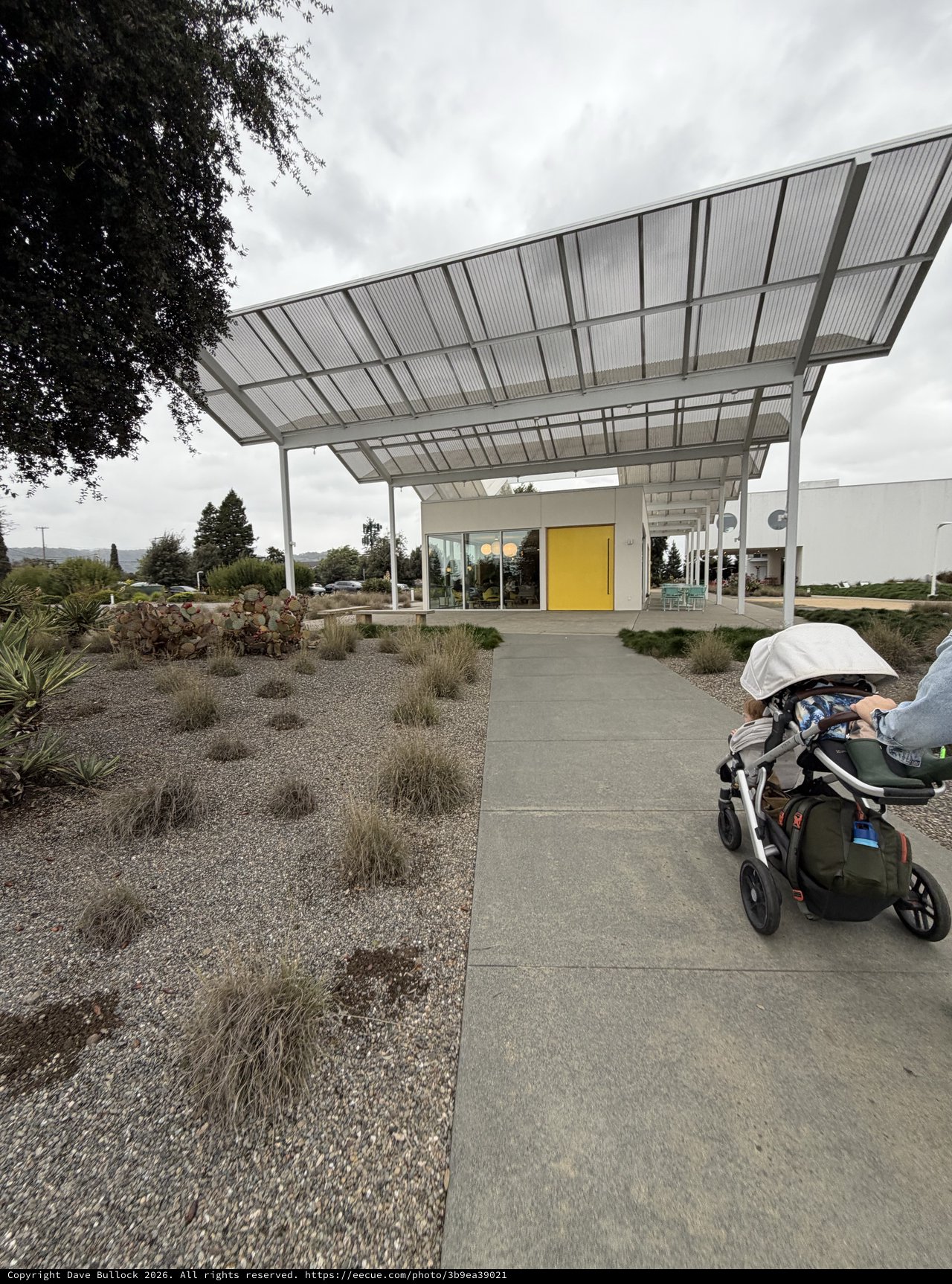Modern Solar Canopy Entry with Sustainable Desert Landscaping