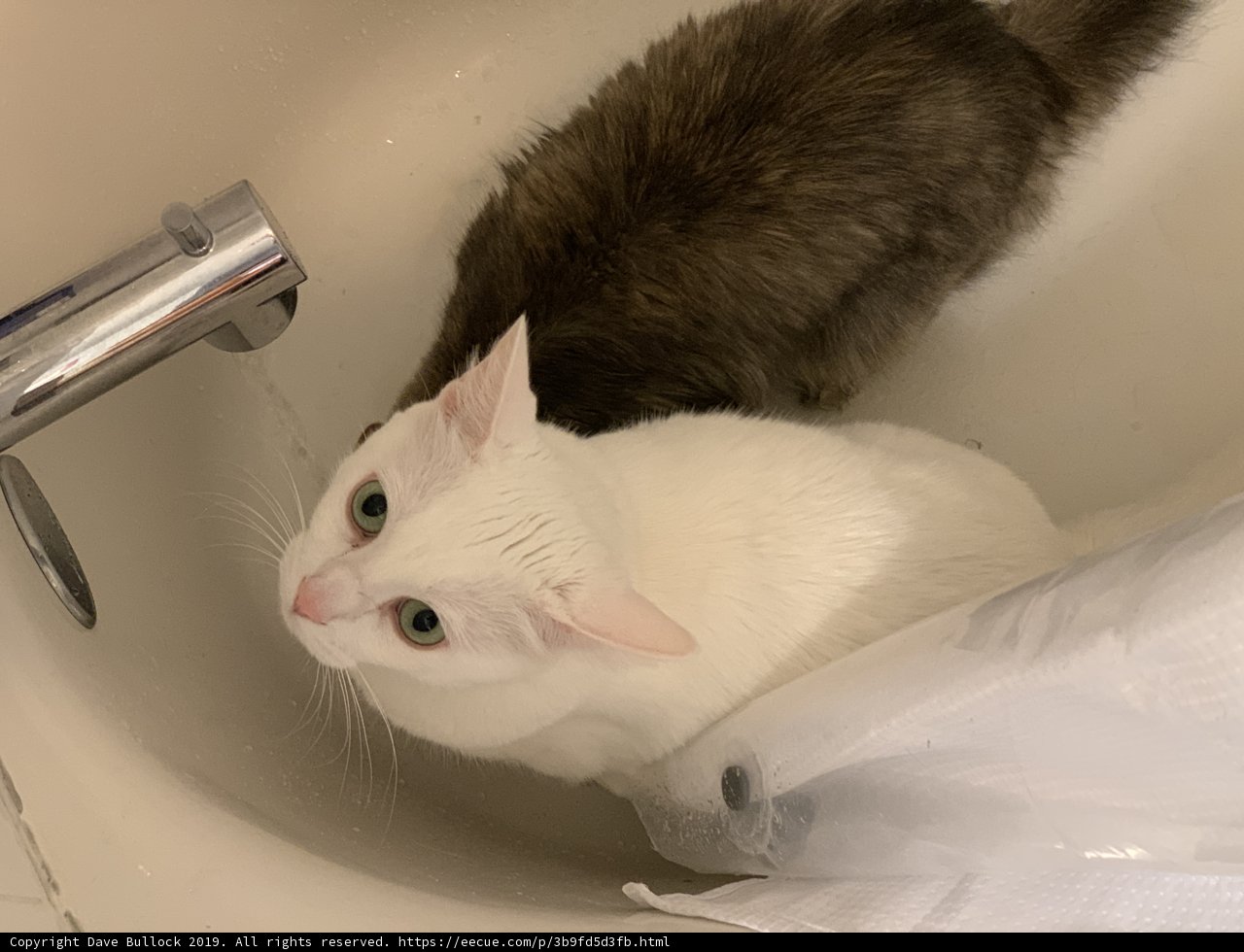 Wash Time