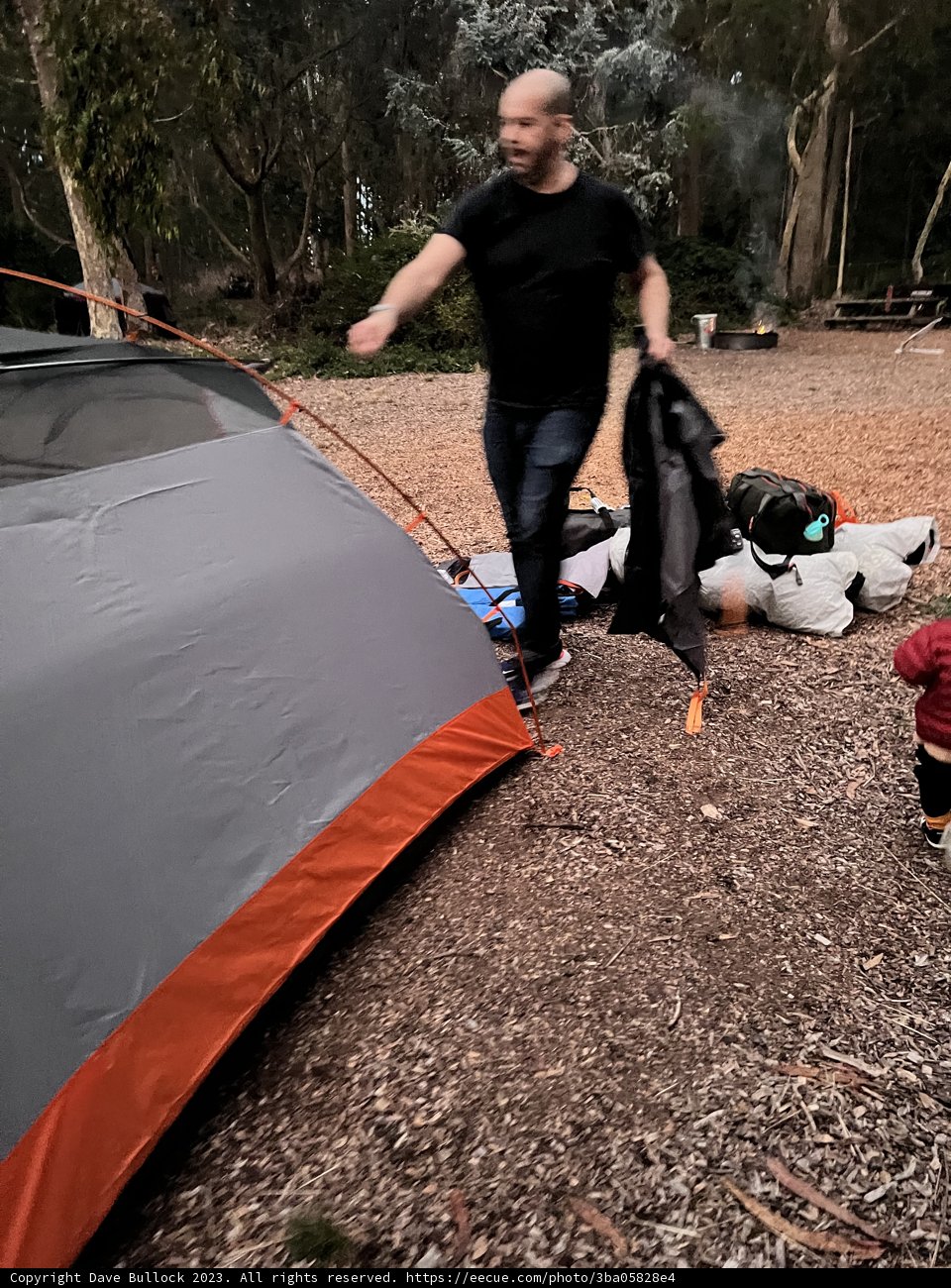 Embracing Wilderness: First Camping Experience in Presidio