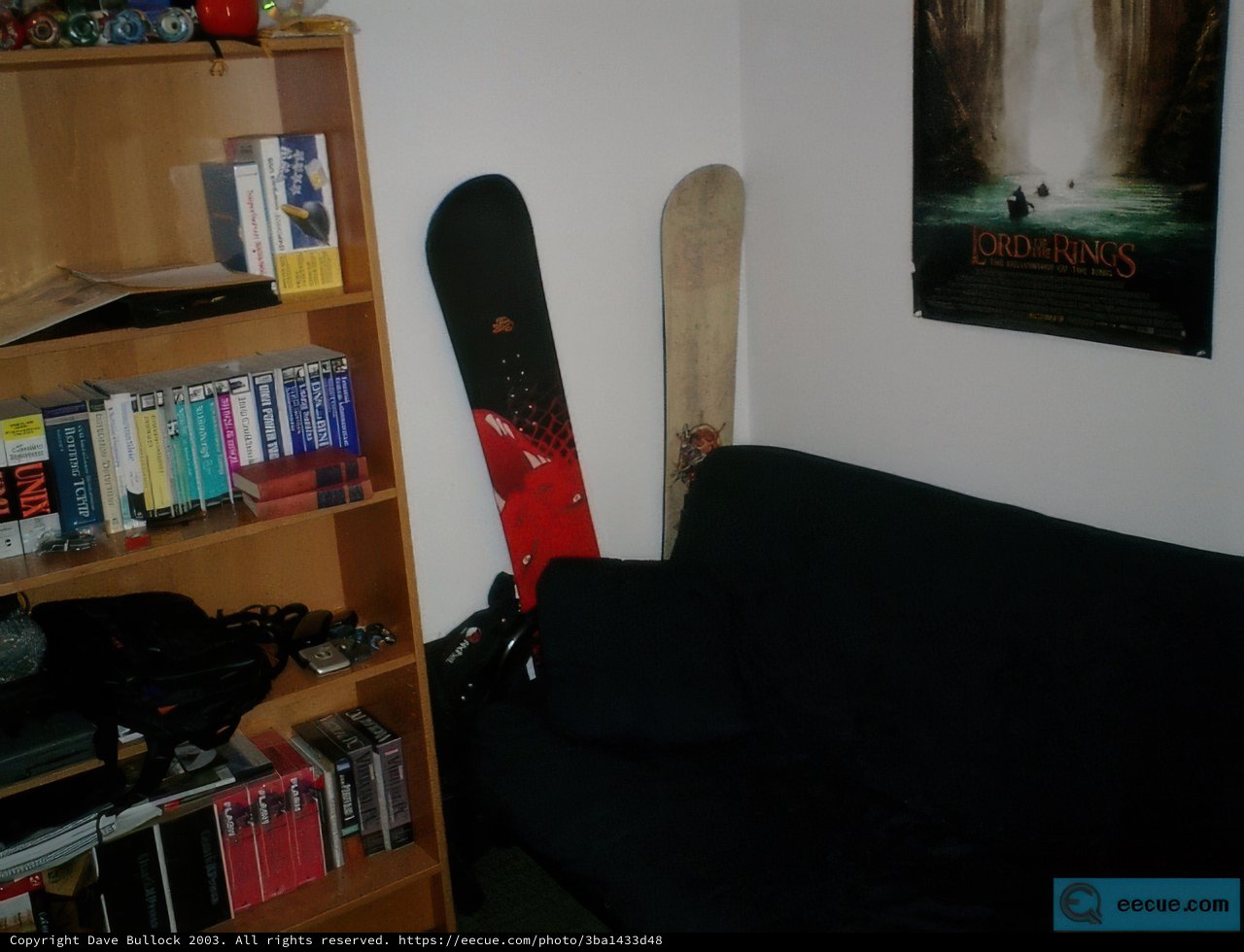 Relaxing on the Black Couch