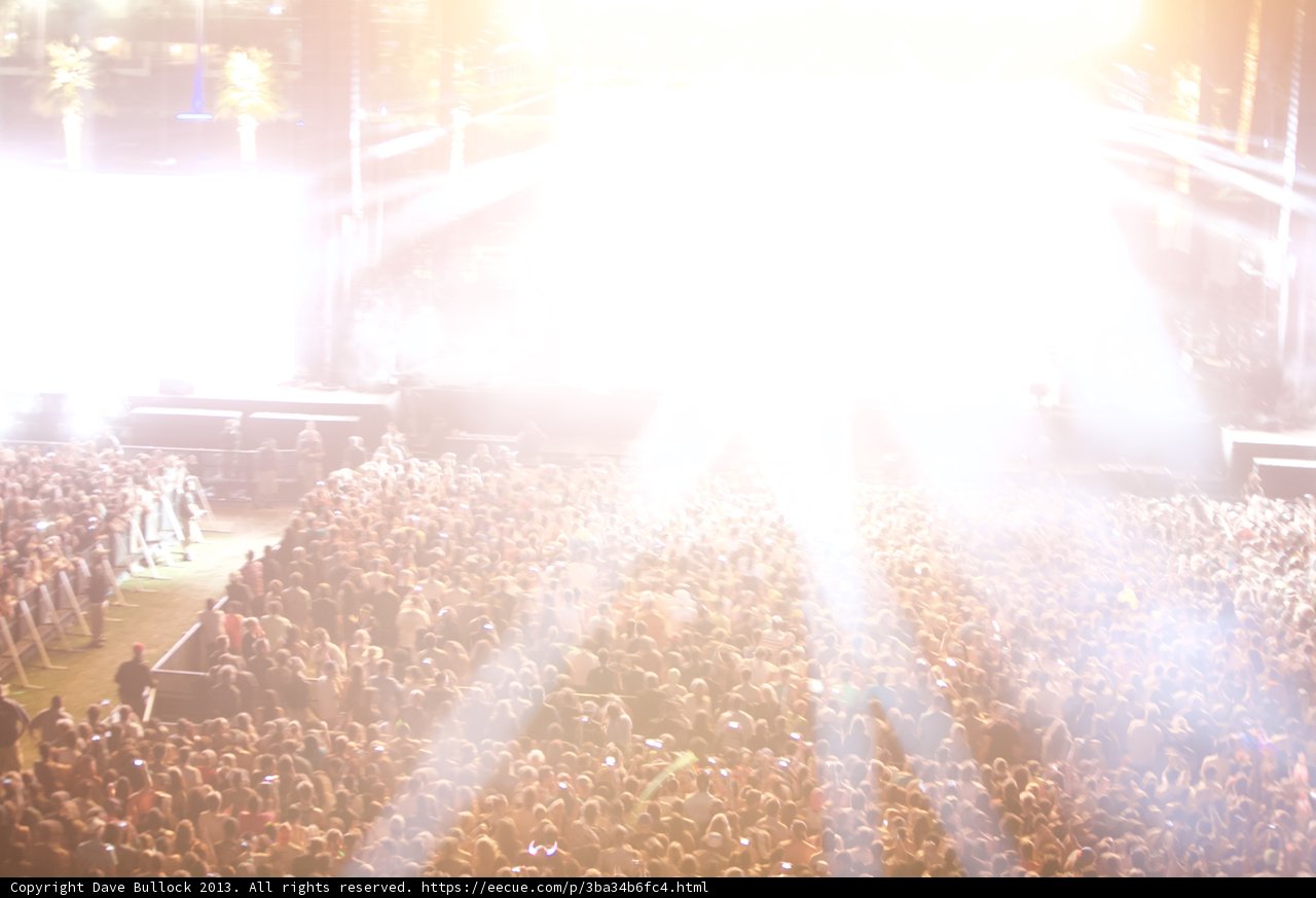 The Electric Crowd at Coachella