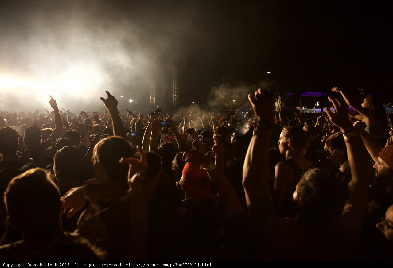 Festival Crowd Backlit