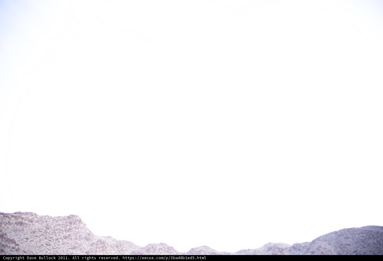 Kite Flying in the Desert Sky
