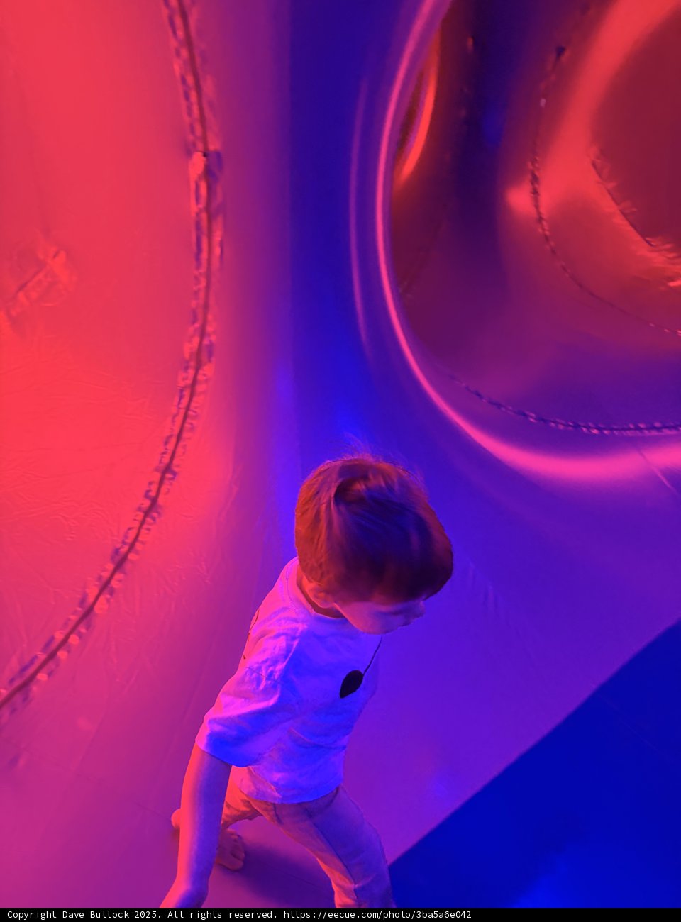 Journey Through Light