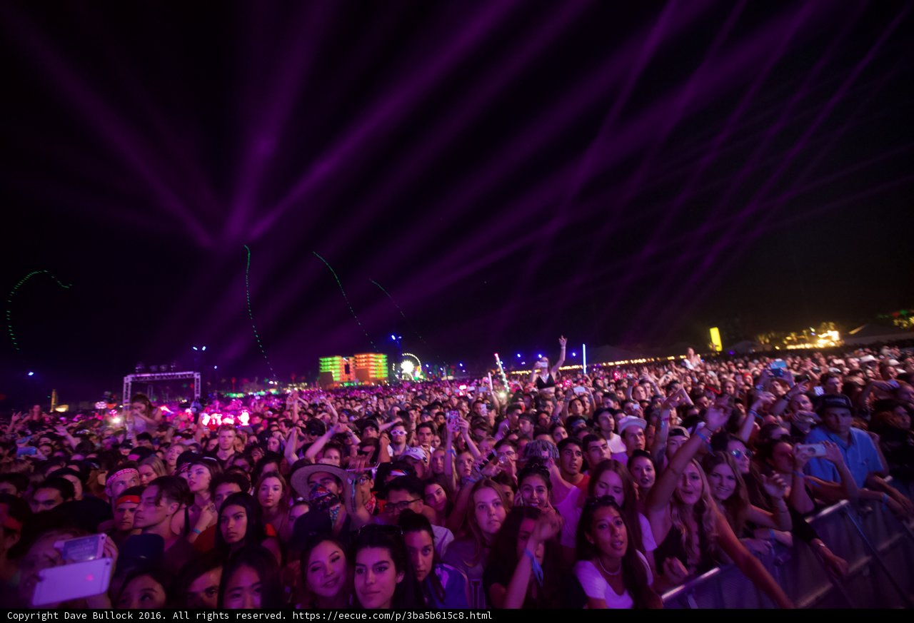 Purple Haze at Coachella