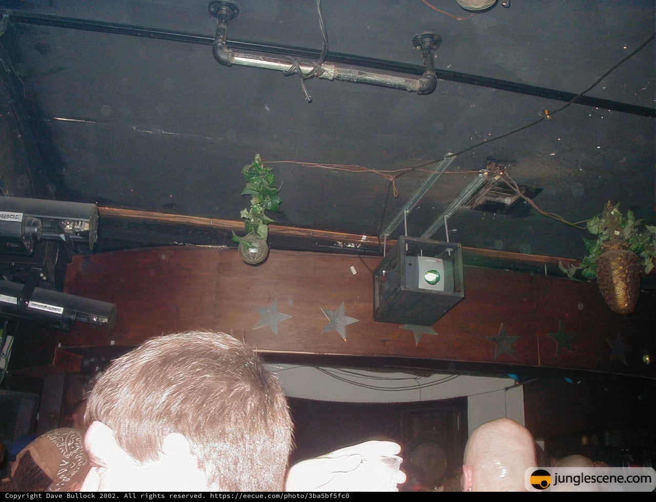 The Nightclub Jungle