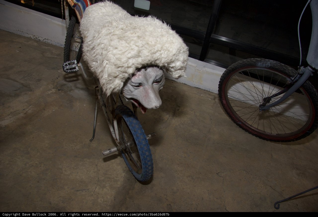 The Sheepdog Cyclist