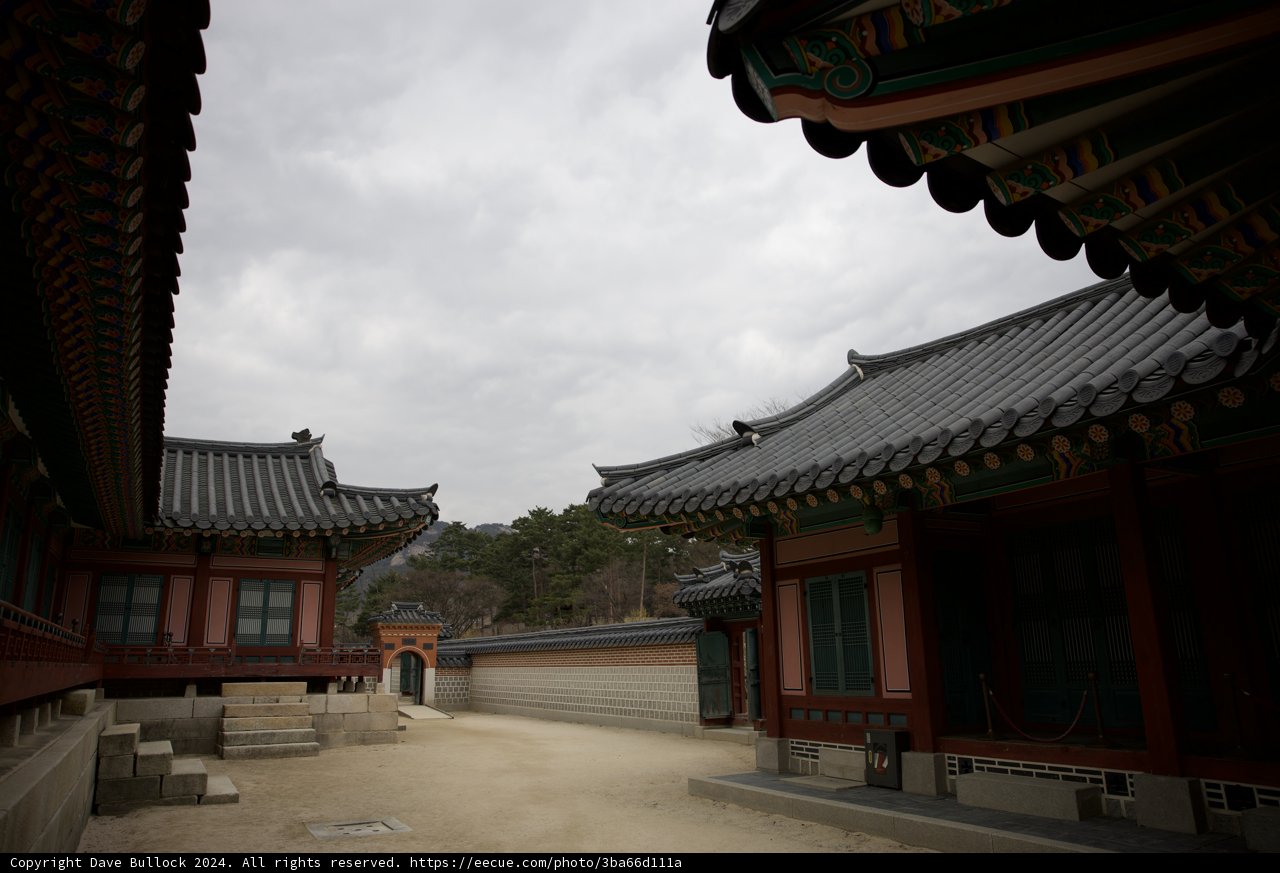 Serene Courtyard View in Korea, 2024
