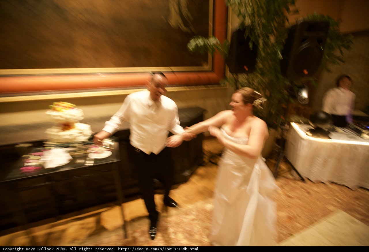Formal Wedding Dance