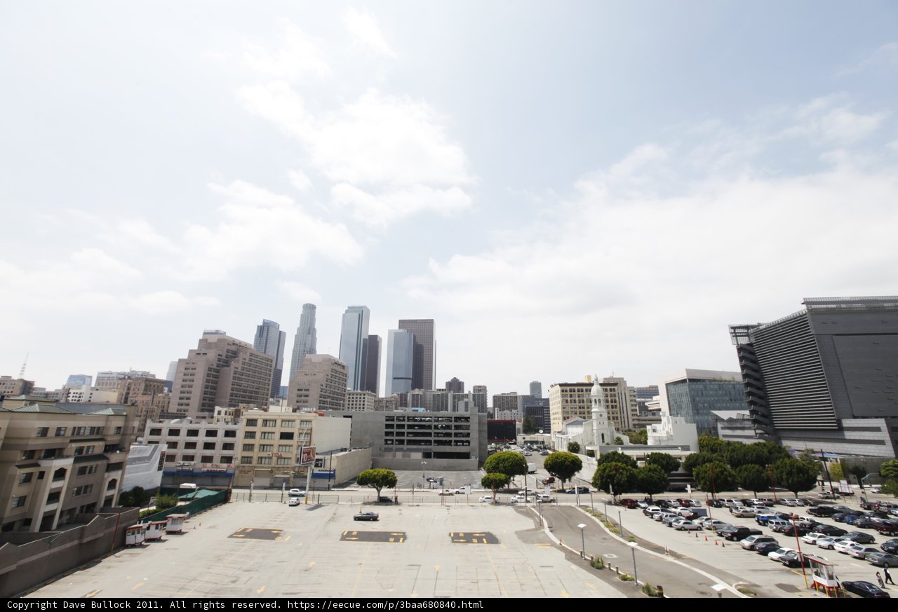 Overlooking the Urban Jungle