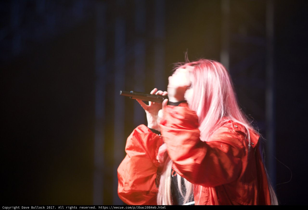 Pink-haired woman takes center stage at Coachella