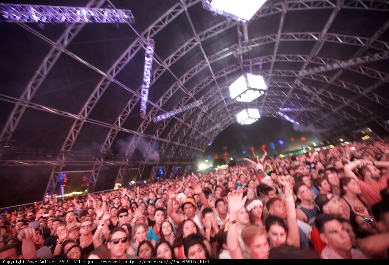 Coachella Nightlife: A Sea of Dancing Bodies