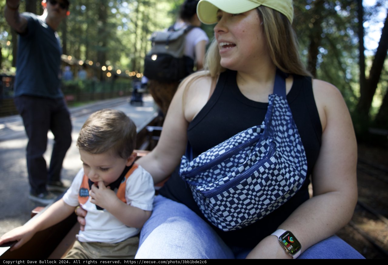 Joyful Moments on the Tilden Steam Train Ride
