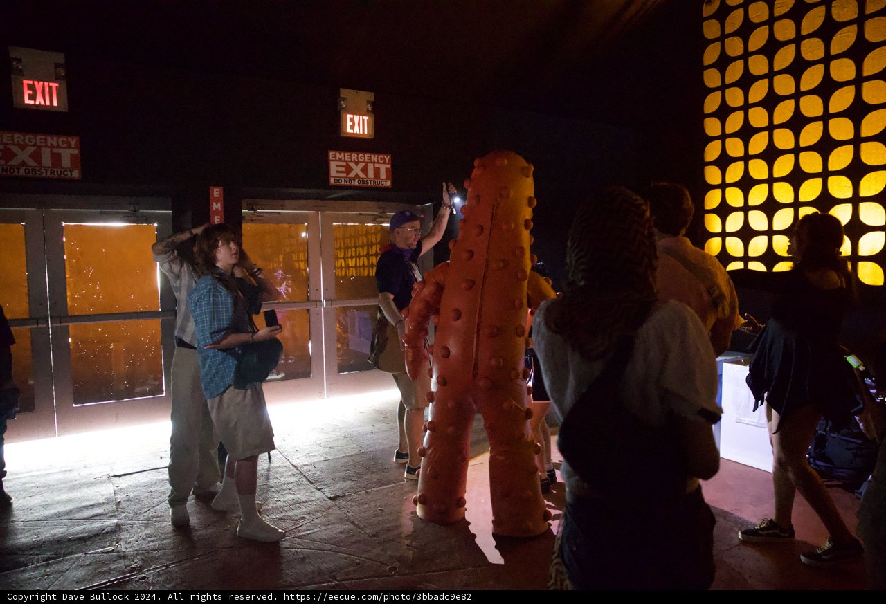 Eclectic Encounters at Coachella 2024