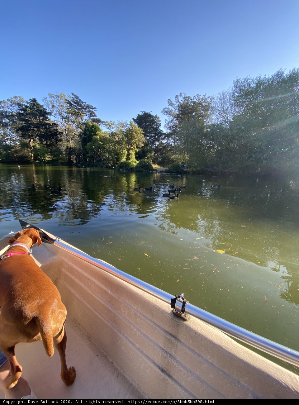 Serenity on the Water