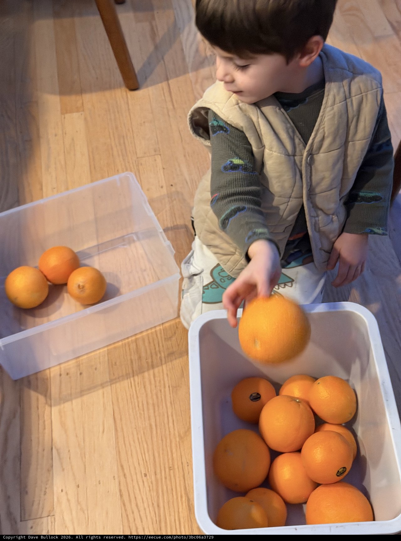 Young Boy Sorting Oranges in Kitchen Activity