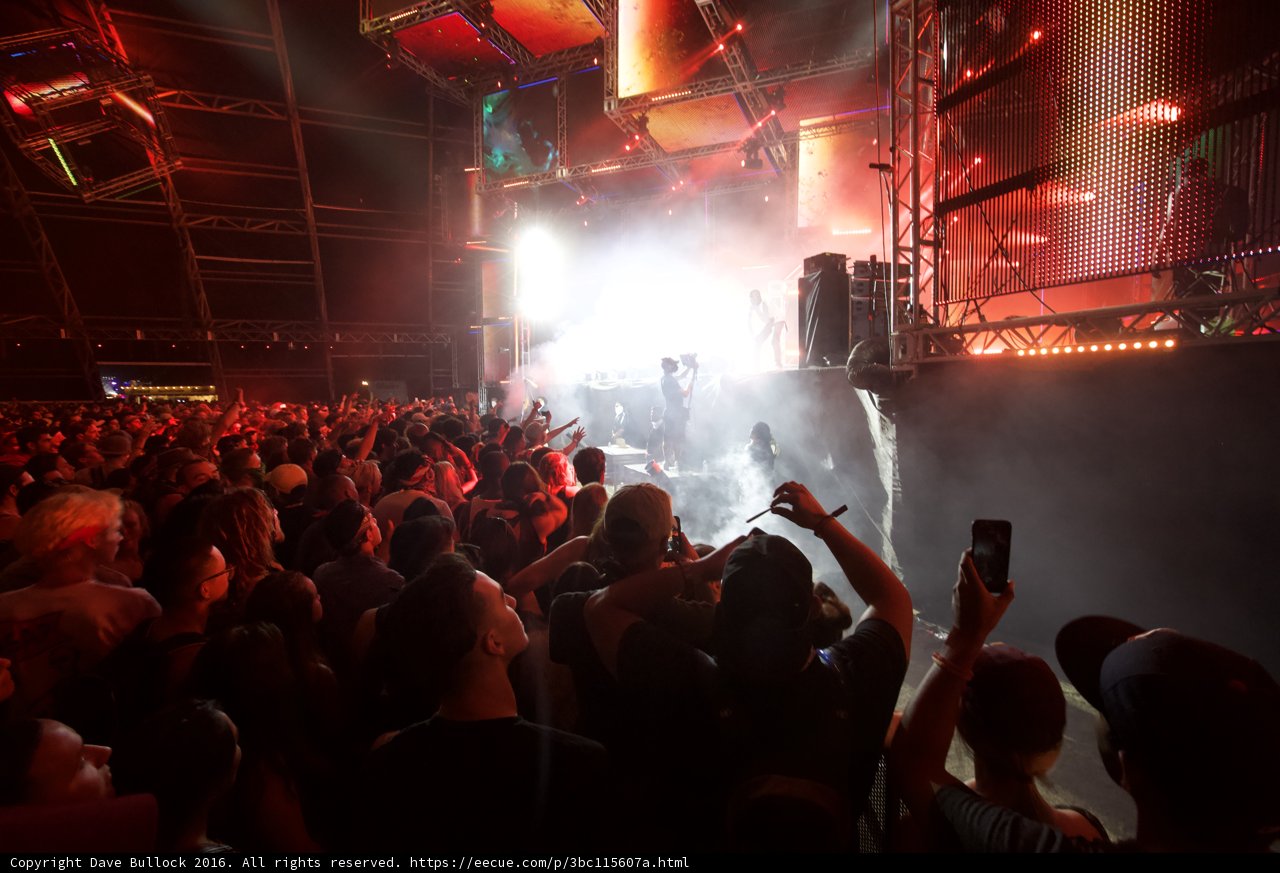 Rocking the Night Away at Coachella