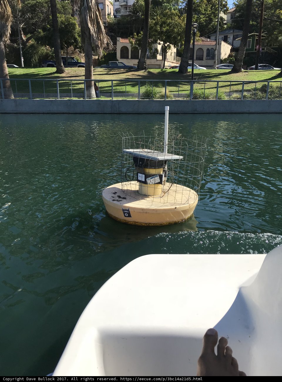 Summer Toes on the Water