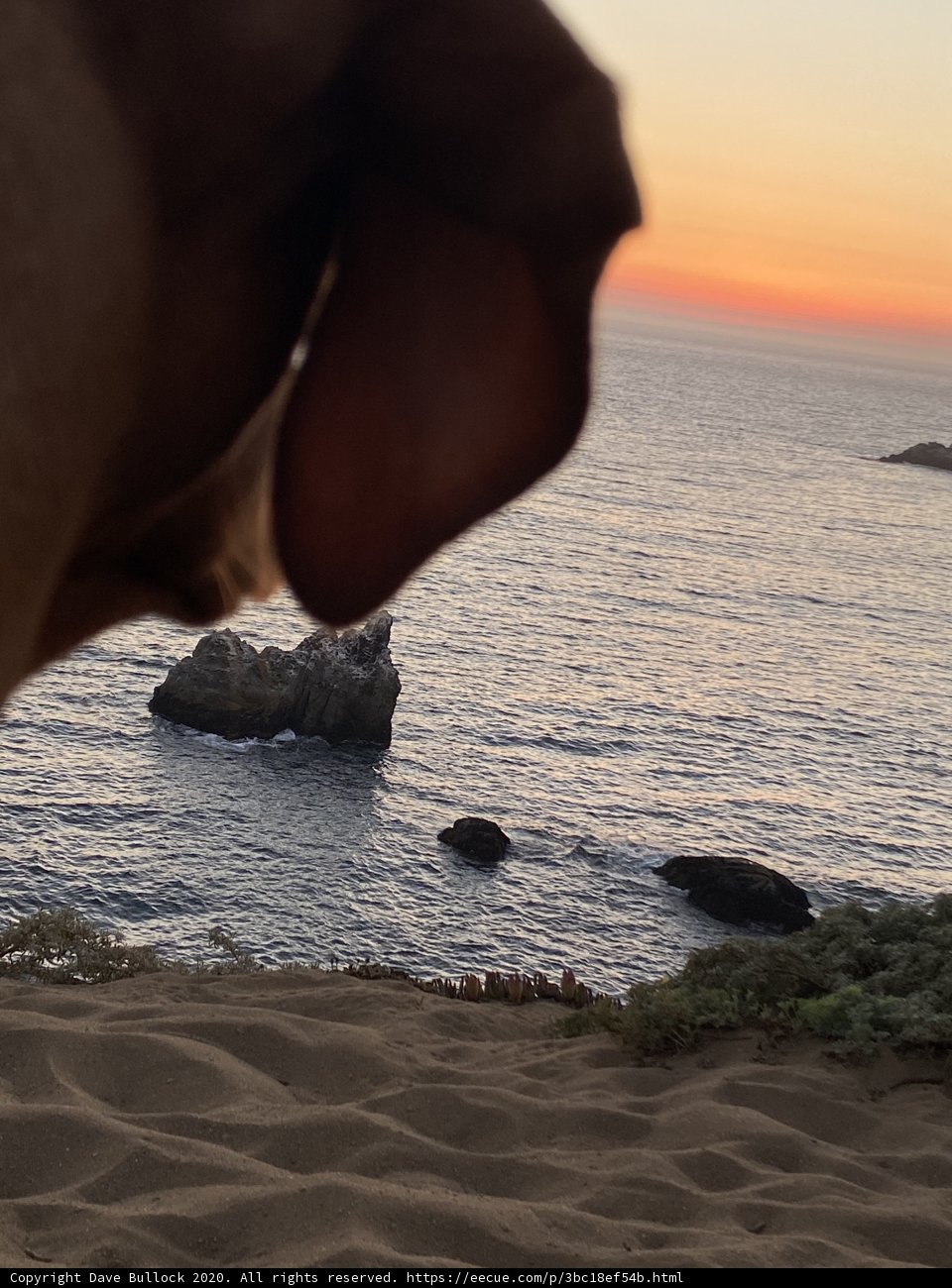 Golden Hour Reflections