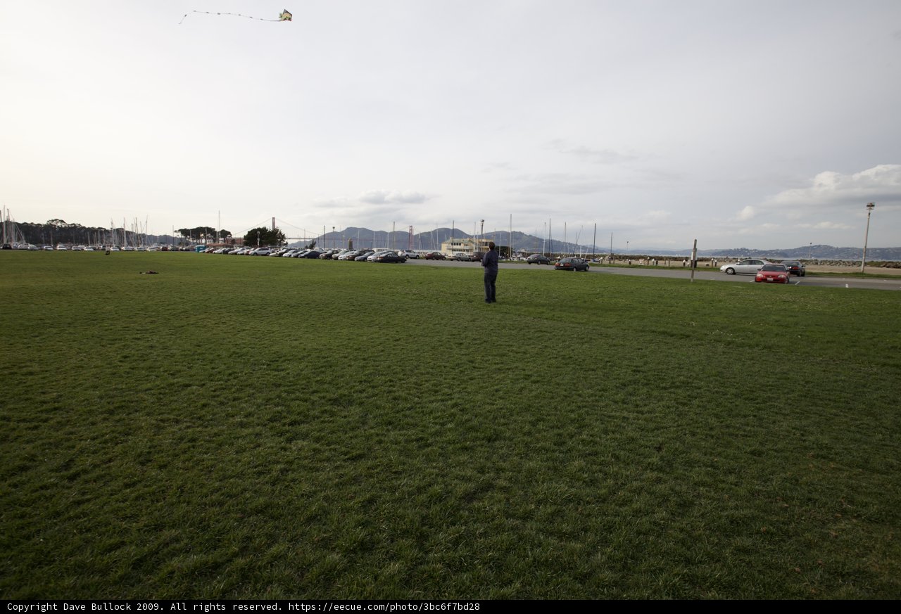 Kite Flying Fun in the Field