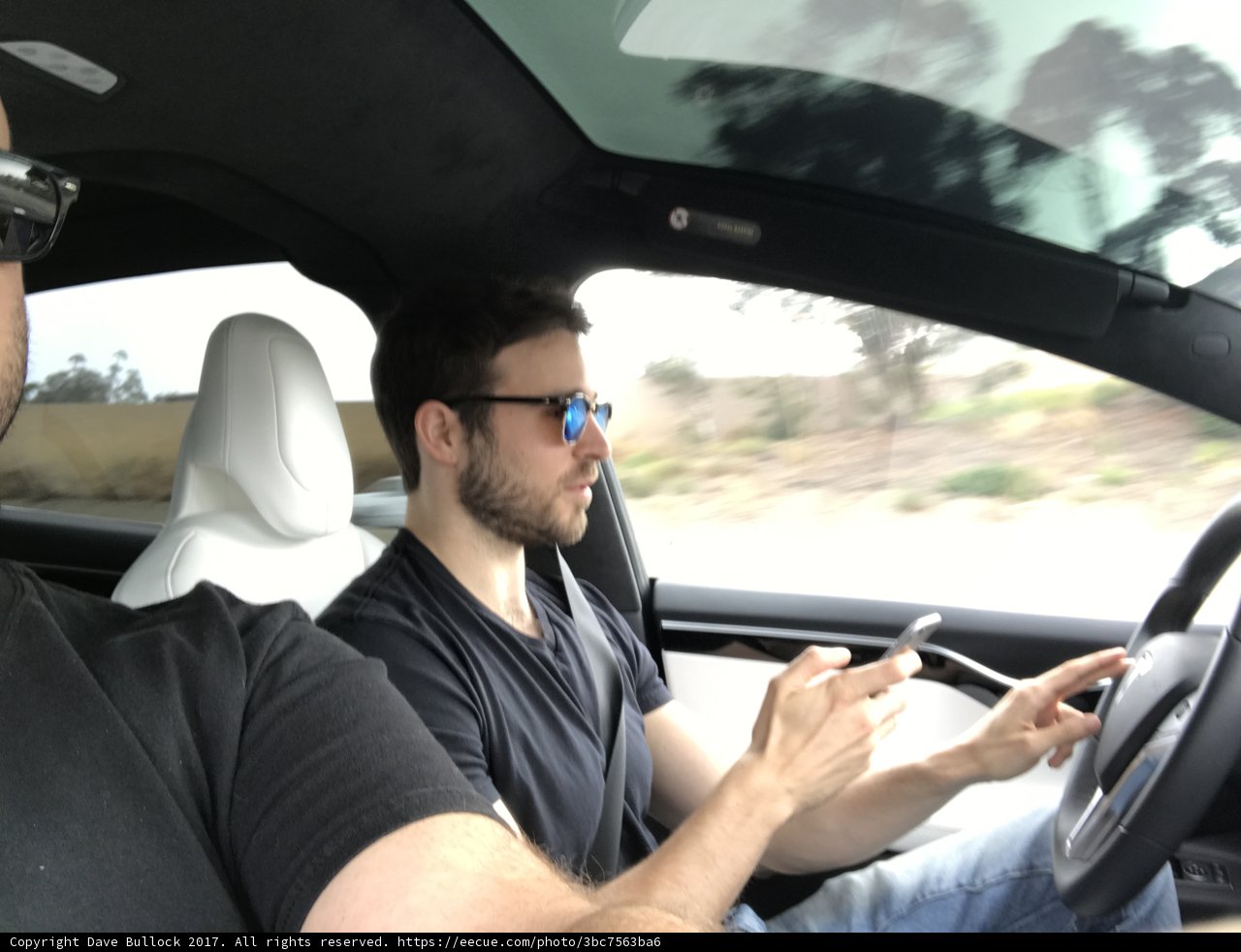 Sunglass Shaded Drive