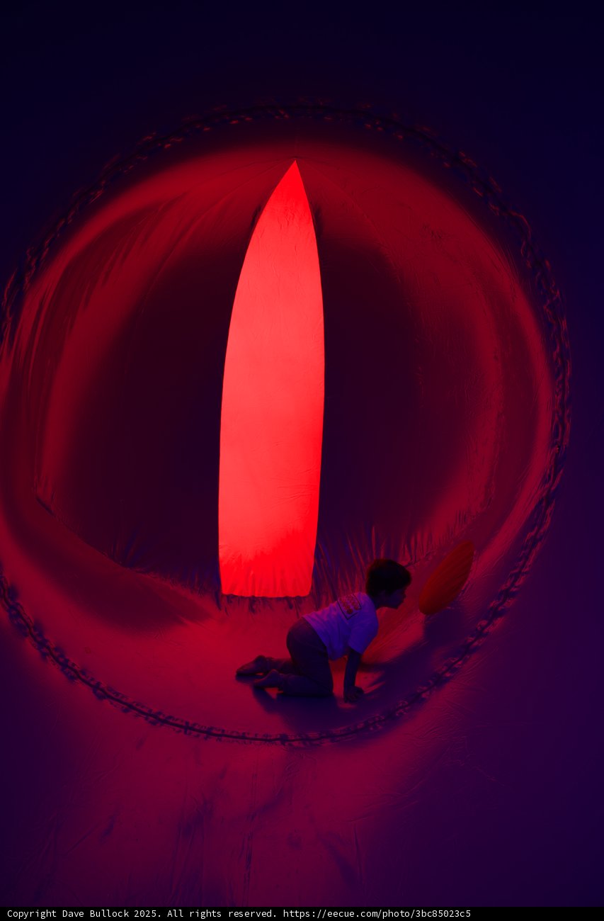 Illuminated Curiosity