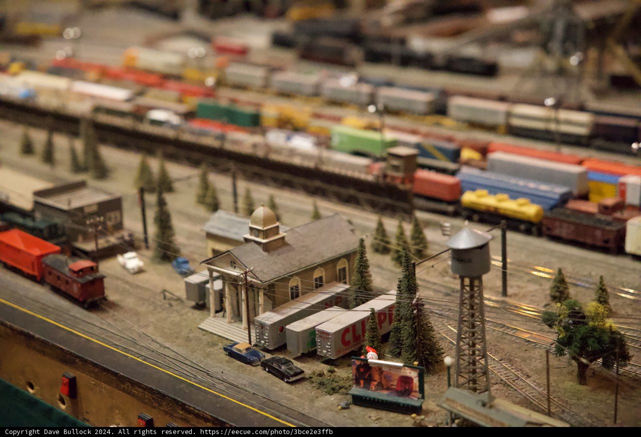 Miniature Marvels of Walnut Creek