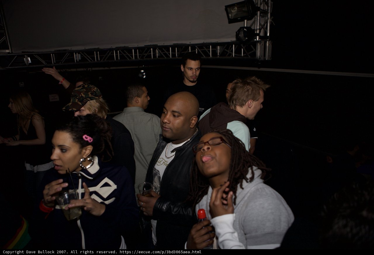 Nightclub Crowd
