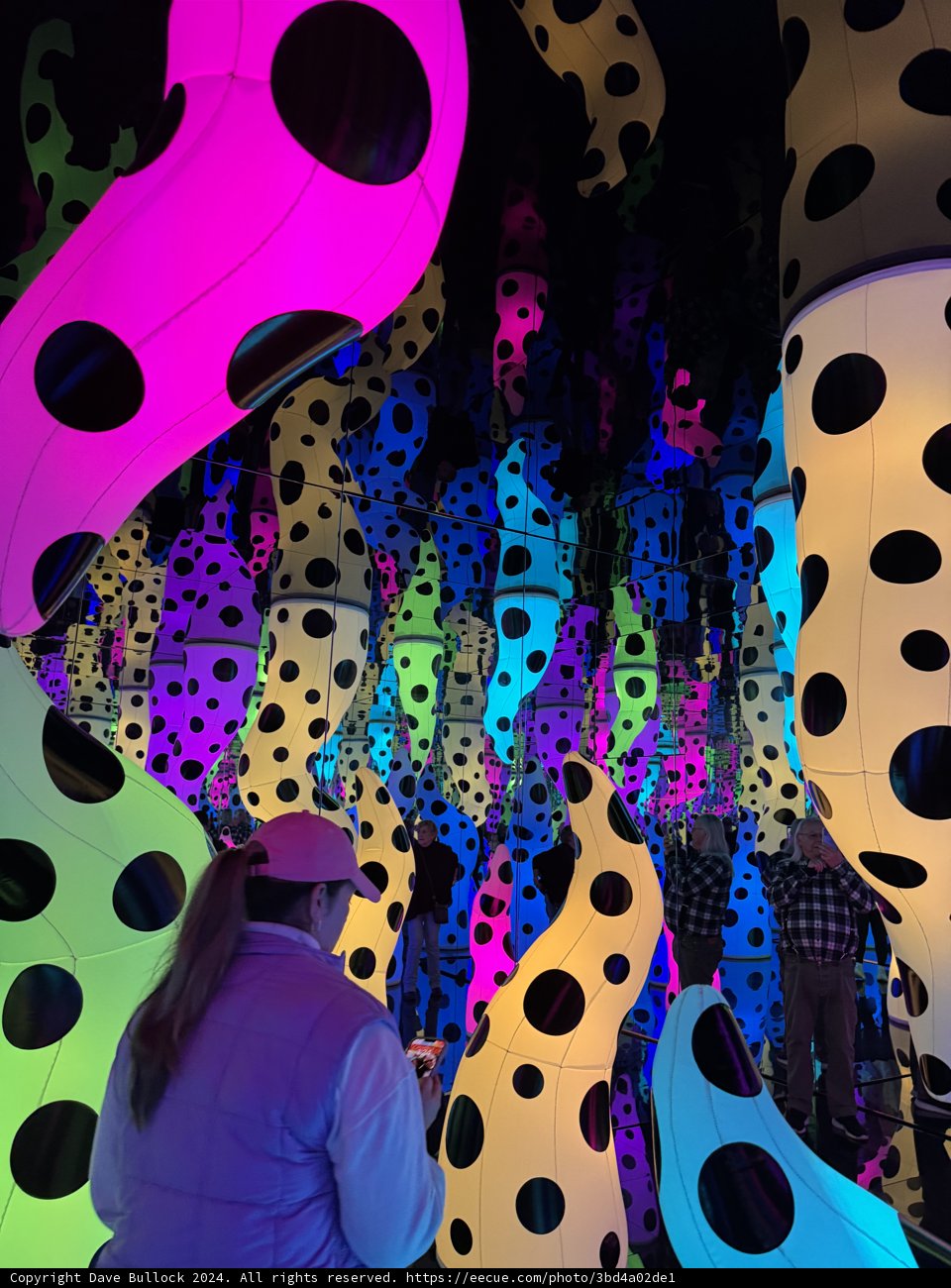Polka Dot Perspectives: A Night at the SF MoMA