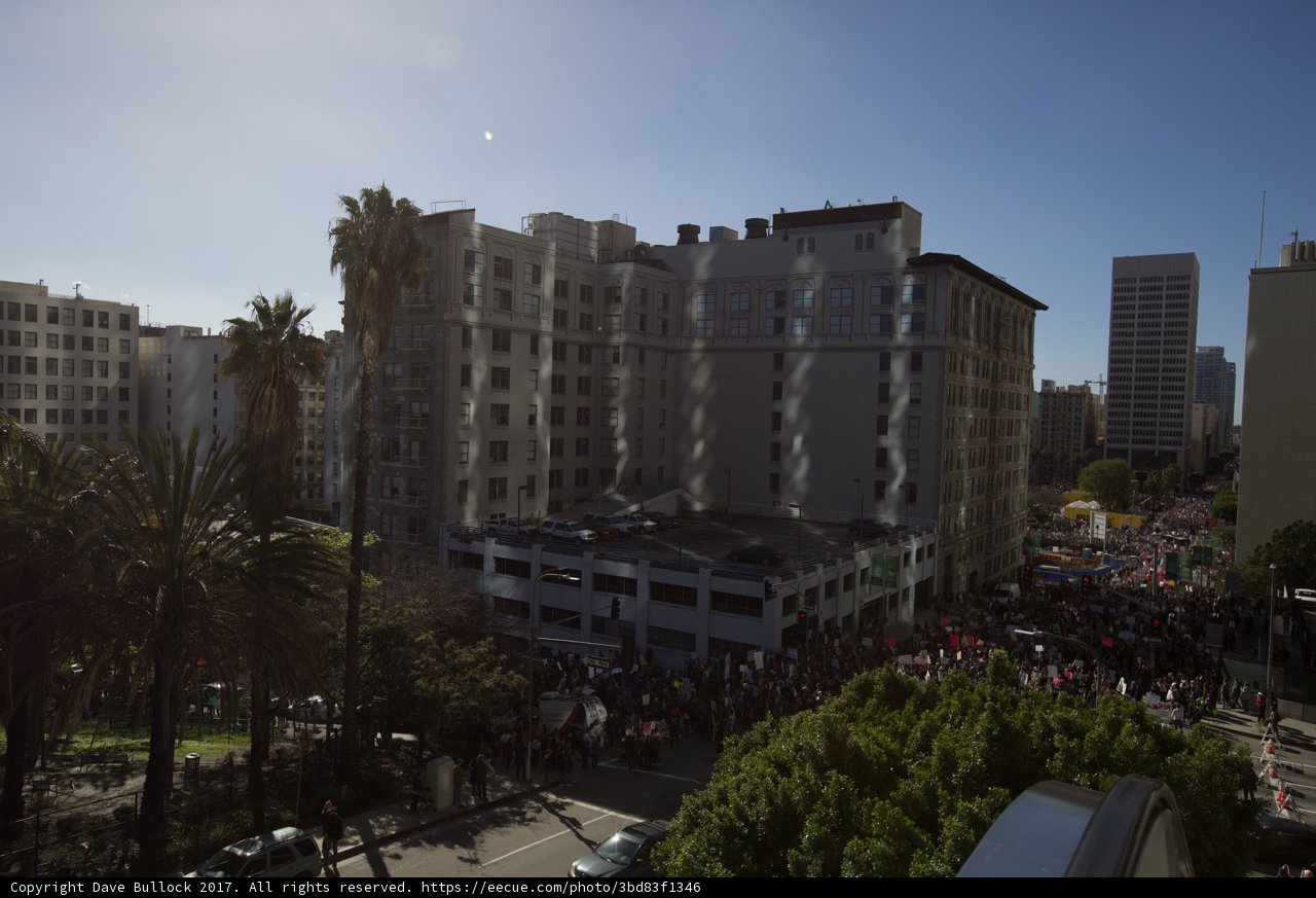 Women's March in the Metropolis