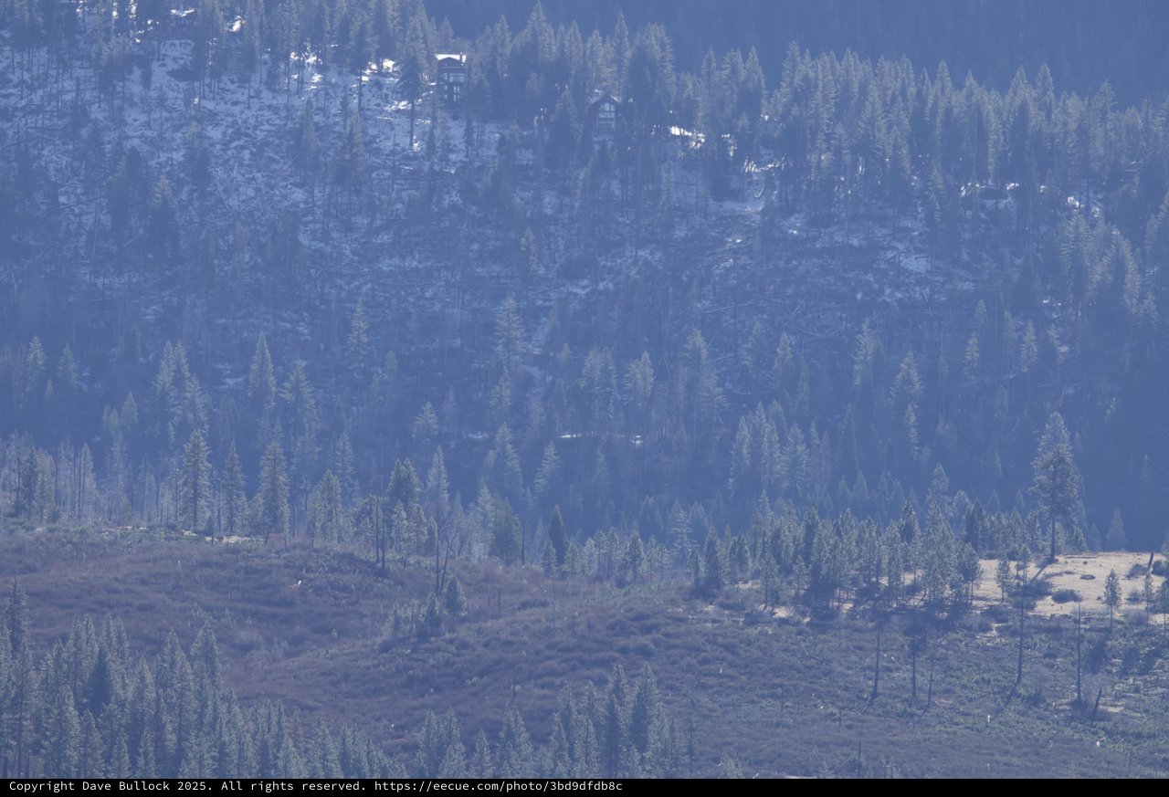 Misty Coniferous Forest Layers in Mountain Haze