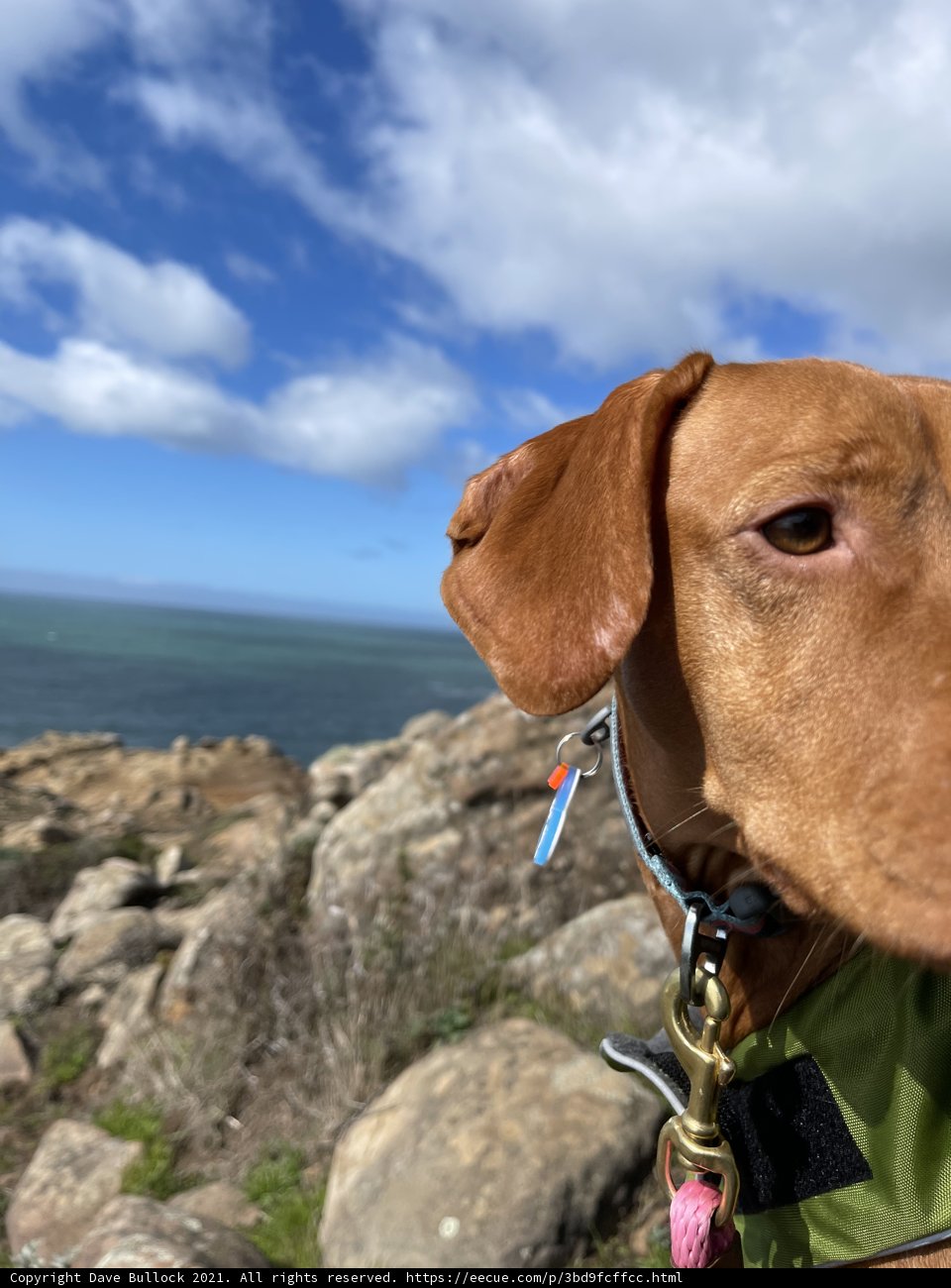 Rocky Hills Adventure
