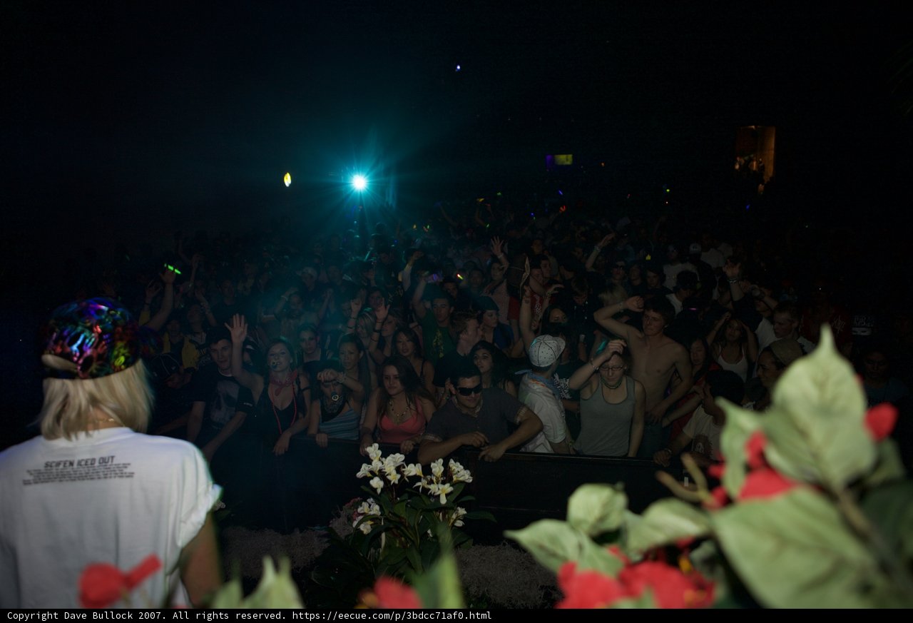 Nightclub Extravaganza