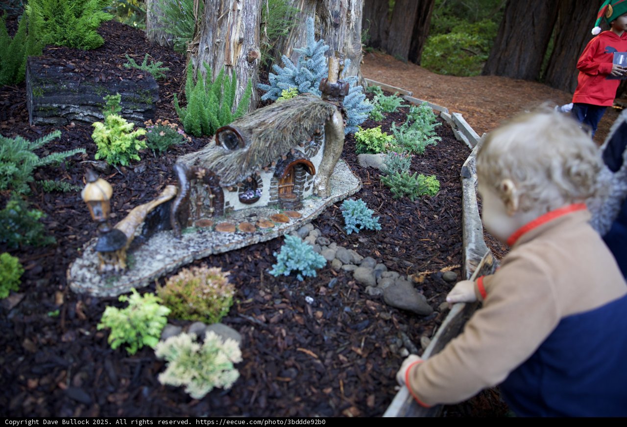 Enchanted Garden Discoveries