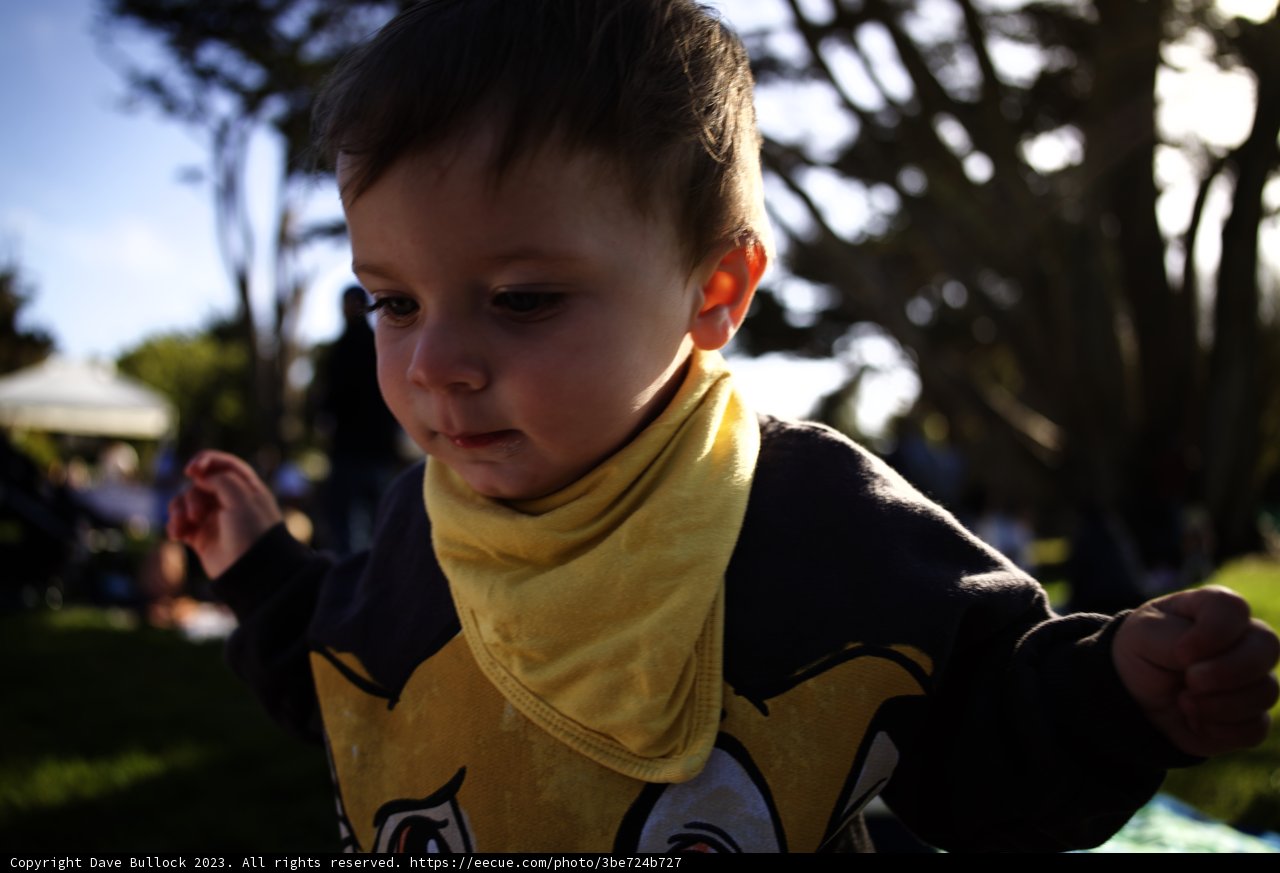 Sunset Radiance: A Day at SF Zoo