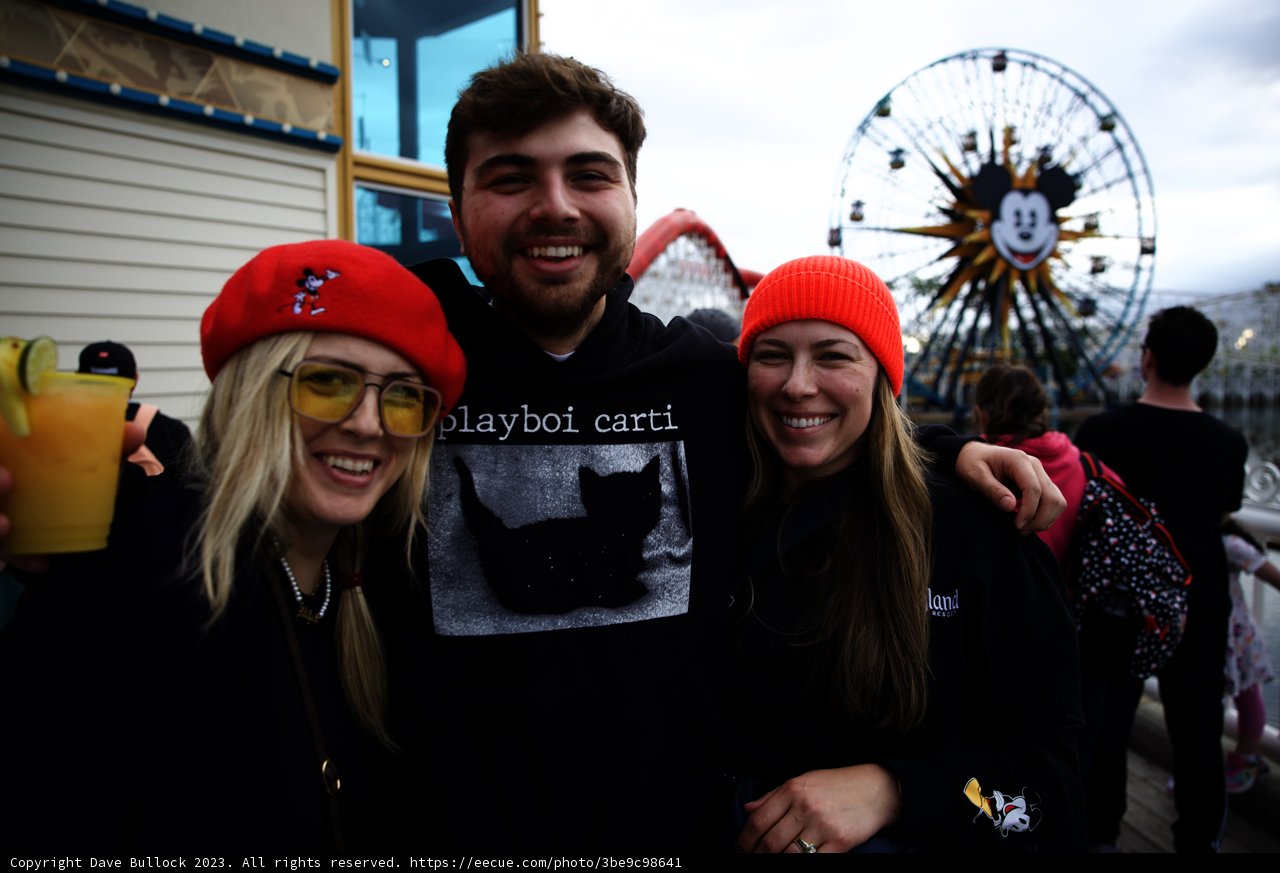 Ferris Wheel Fun at Disneyland 2023