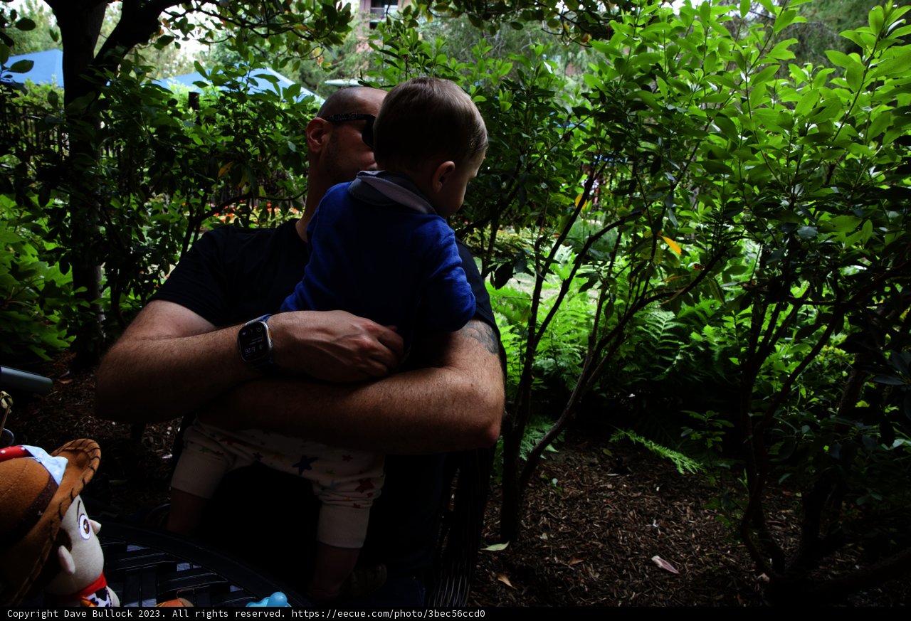 Wes and the Little One: A Magical Park Moment