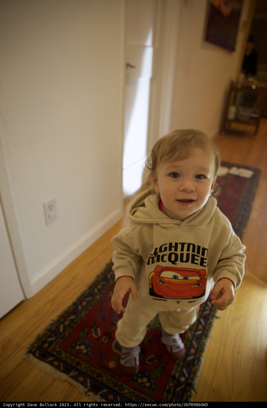 Little Adventures at Home