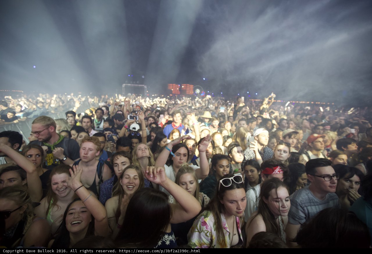 Festival Fever