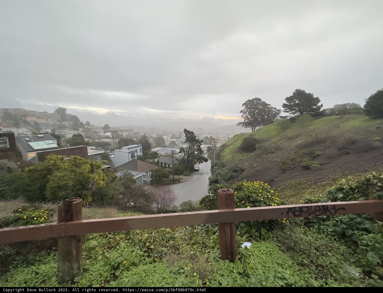Majestic View of the Neighborhood