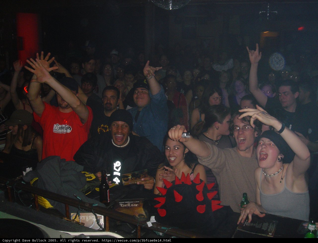 Music and Fun at the Urban Night Club