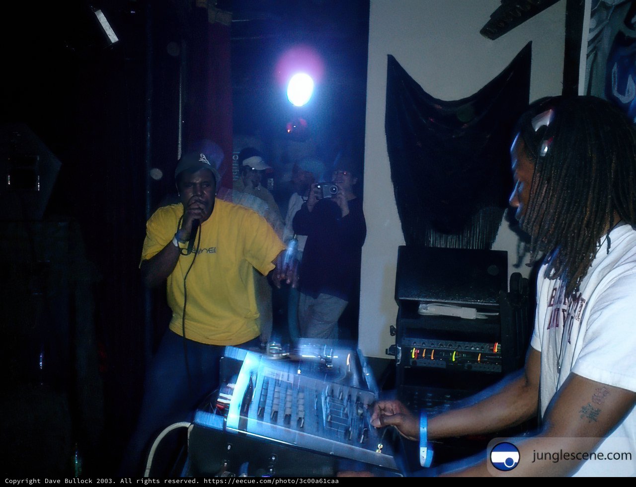 The Yellow DJ