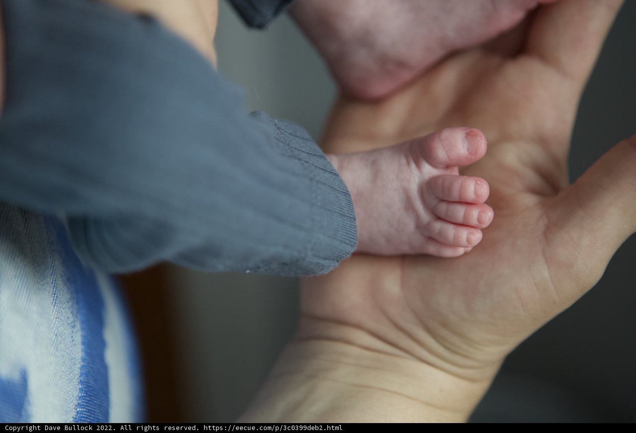 Tender little toes